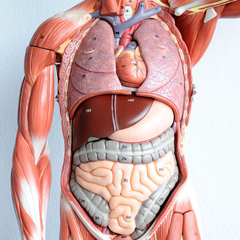Winterthur Medical Plc. medical devices from experts