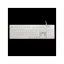 WHITE SHARK  TACHI-W/US WS GK-003241W-US vezetékes membrán gamer billentyűzet, 104 gomb fehér (angol)