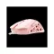 WHITE SHARK ECTOR-P WS GM-5016P  gamer egér 7D / 7.200 dpi pink RGB  PIXART PMW3327