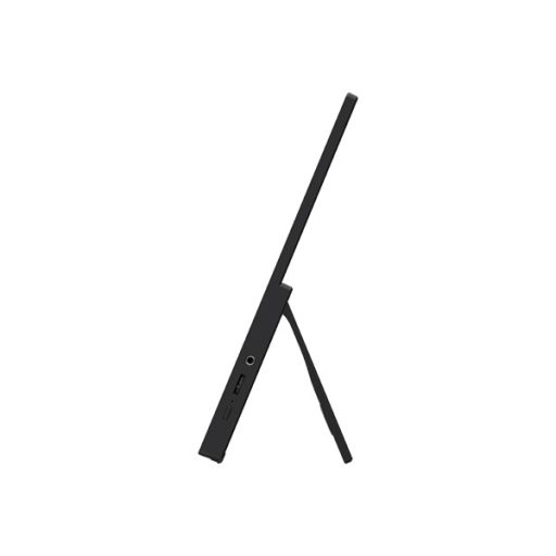 MSI Monitor Business PRO MP165 E6, 15,6" FHD 1920x1080, IPS, 250 cd/m2, 16:9, 60 Hz, 4ms, 2x USB-C, miniHDMI, Black