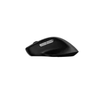  RAPOO 00220693, "M50 Plus" Wireless Silent Optical Mouse, black