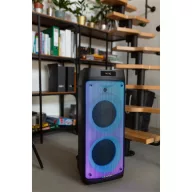   BLAUPUNKT PB08DB Bluetooth party hangszóró, RMS, TWS, FM,AUX, 2 mikrofon, 700W, Fekete (RTVBLAS018)