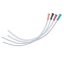 Male draining catheter 400 mm, 12 CH