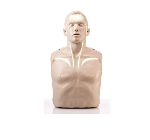 Brayden Adult CPR Training Doll Basic