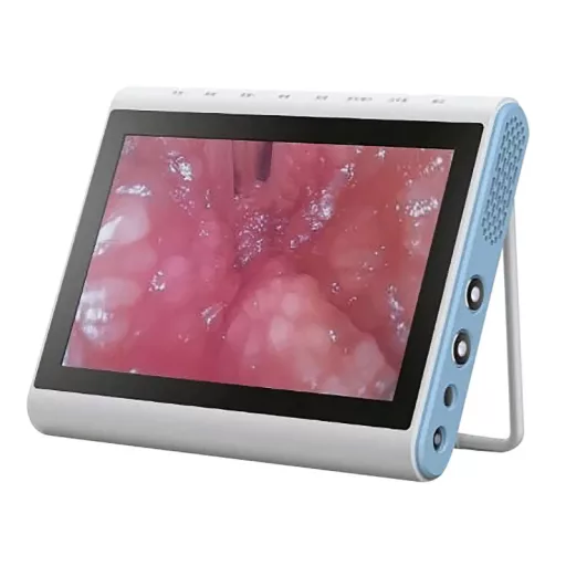 Besdata MIP1002 Endoscopy Image Processor