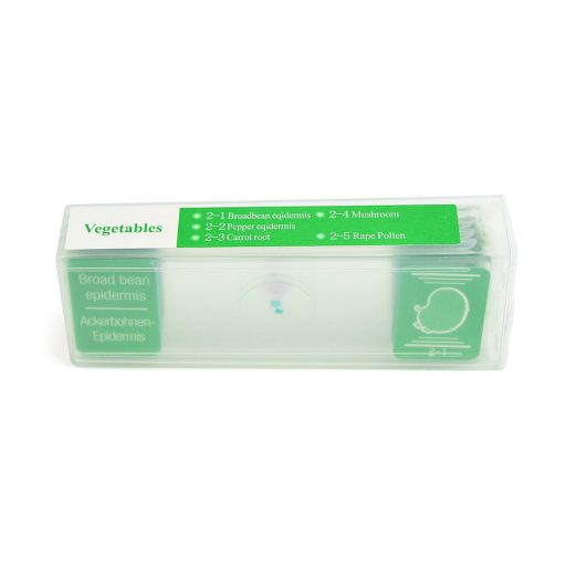 Prepared microscope slide set school