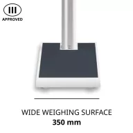 ADE M320000-01 Elektronische Säulenwaage 