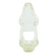 Transparent canine jaw
