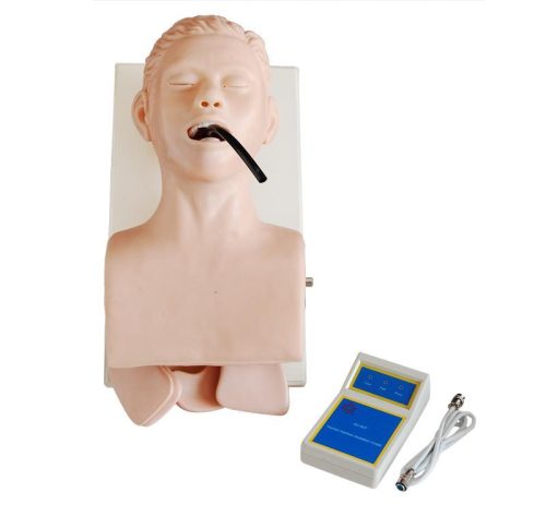 Model intubacji tchawicy
