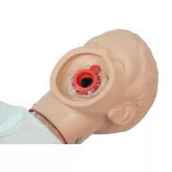 Ambu® Junior Child CPR Training Manikin