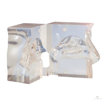 Transparent nose model