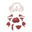 Female 12 piece pelvis model