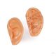 Acupuncture ears, set of 2