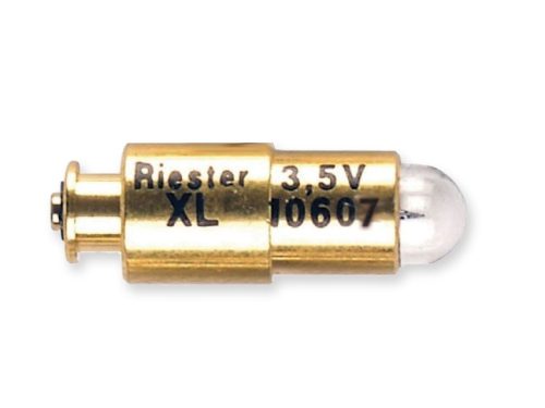 Riester XL 3,5 V Glühlampe für Otoskop, Halter, Nasenspekulum, Zungenspreizerhalter ri-scope, 1 Stück