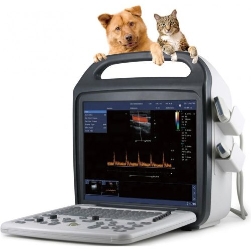 Mindray DC10-VET állatorvosi ultrahang