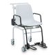 Seca 959 Wireless Wheelchair Scale
