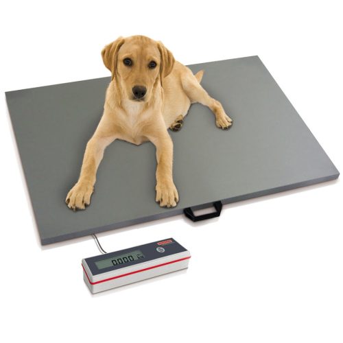 Soehnle veterinary scales 