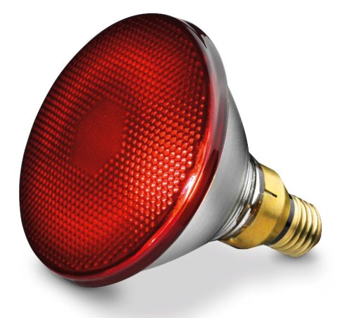 Żarówka do promiennika podczerwieni Beurer, 100 W (IL 11)
