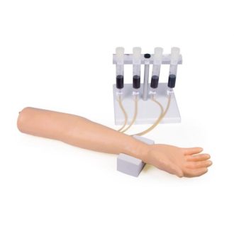 Training arm for intravenous injection and infusion