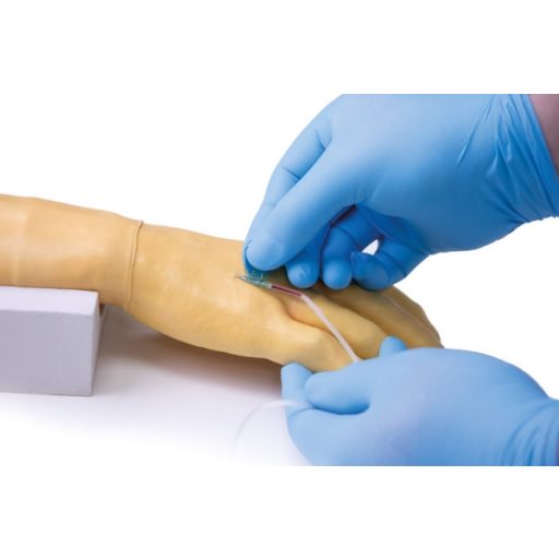Training arm for intravenous injection and infusion