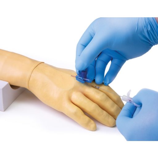 Training arm for intravenous injection and infusion
