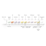   10 paraméteres Roche Diagnostics Combur 10 vizeletteszt, 100 db-os