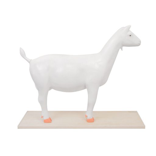Demontowalny model kozy