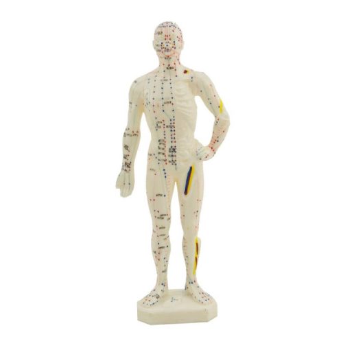Acupuncture soft plastic figure