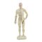 Akupunktur Weichplastikfigur