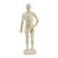 Akupunktur Weichplastikfigur