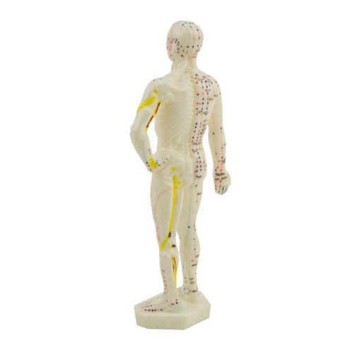 Akupunktur Weichplastikfigur