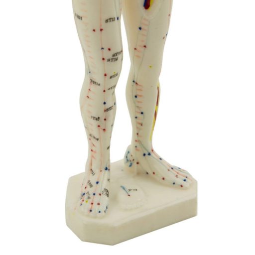 Akupunktur Weichplastikfigur