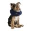 Neck Brace for Dogs in different sizes