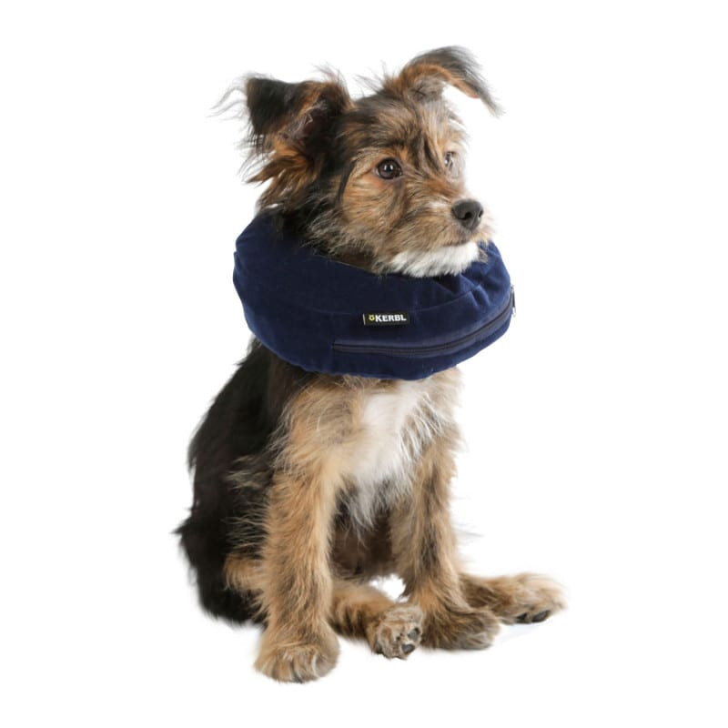 Neck Brace for Dogs in different sizes Winterthur Medical