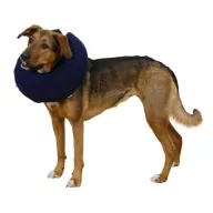 Nackenbandage für Hunde in verschiedenen Größen