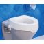 Toilet booster seat