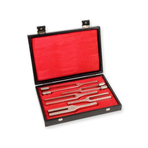 Tuning Forks Set Diapason Hartmann - 5 pcs.