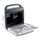 DC10 ultrasound with 15" LCD monitor and li-Battery 