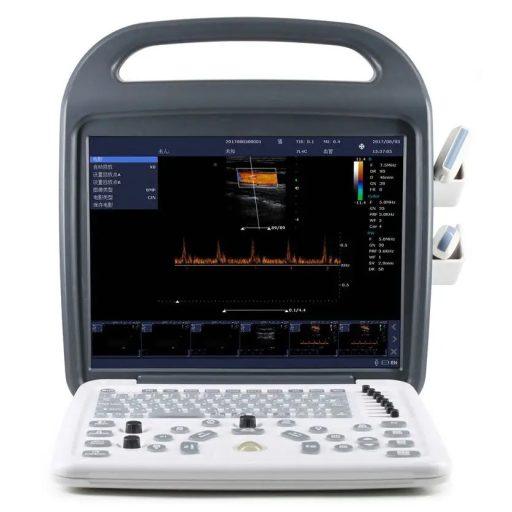 DC10 ultrasound with 15" LCD monitor and li-Battery 