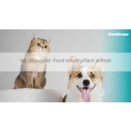   Sonoscape E2V Farb-Doppler-Ultraschallsystem für Veterinäranwendungen mit Linearsonde L741, konvexer Sonde 3C-A und Koffer