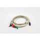 7 lead patient cable for Card(X)plore