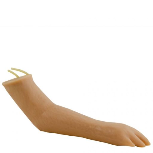 Injektionstrainer Hundepfote 
