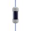 Enbio Magic Filter